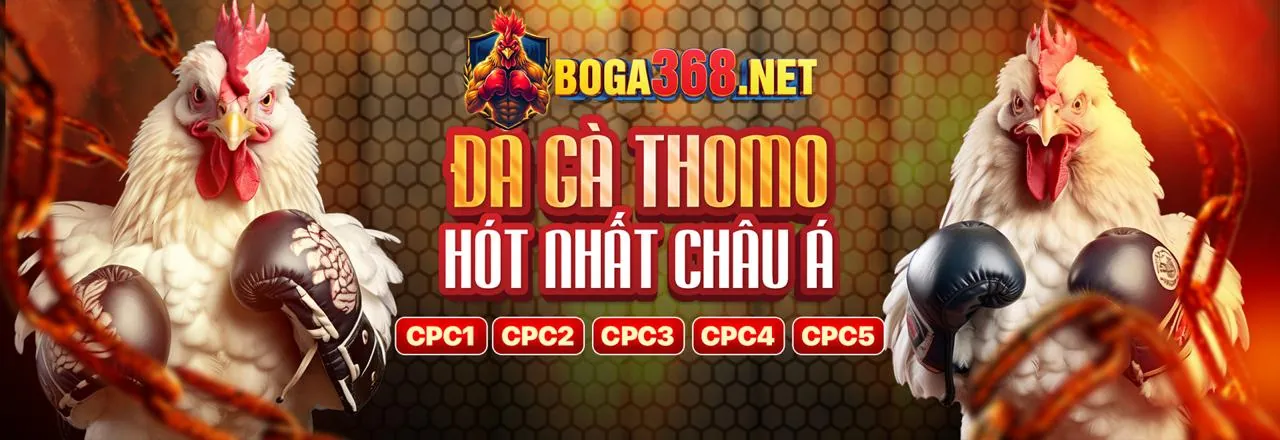 Đá gà trực tuyến BJ88 sôi động với link mới nhất và các chiến kê dũng mãnh