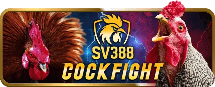 Khuyến mãi độc quyền BJ88